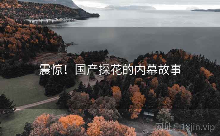 震惊!国产探花的内幕故事
