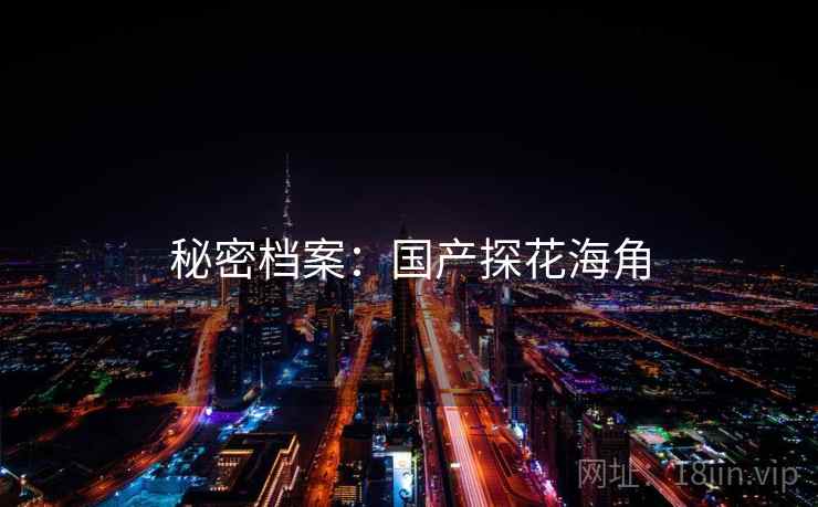秘密档案:国产探花海角