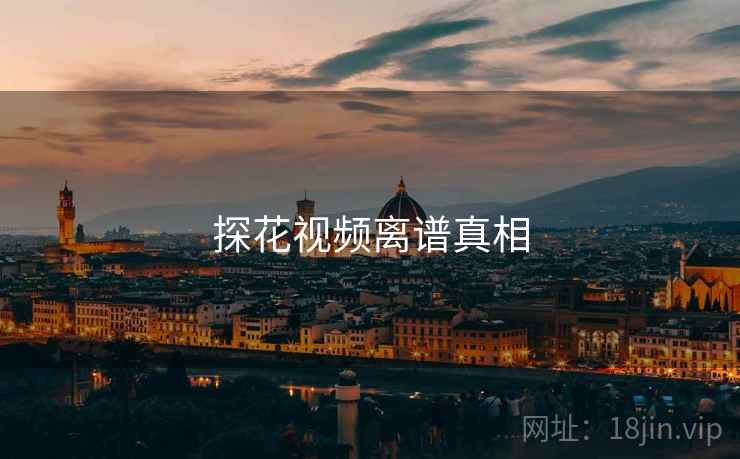 探花视频离谱真相