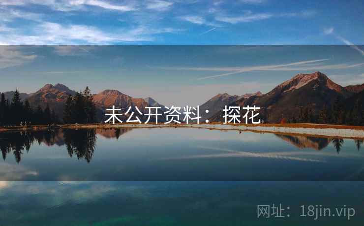 未公开资料:探花