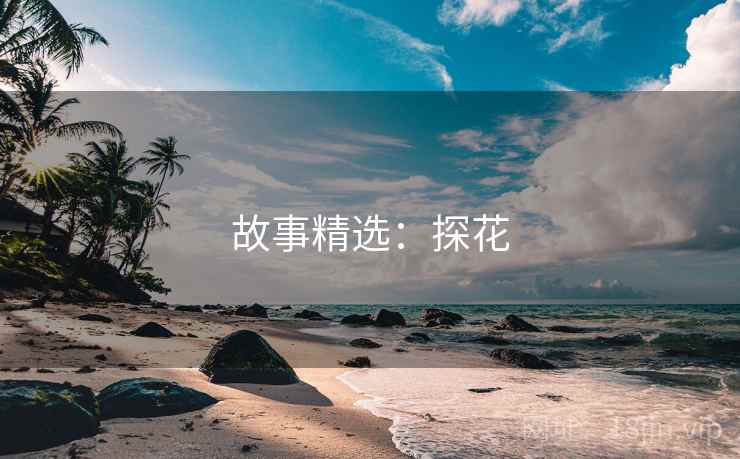 故事精选:探花