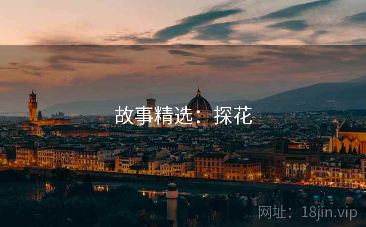 故事精选:探花