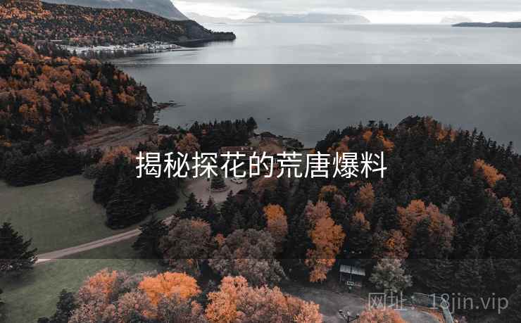 揭秘探花的荒唐爆料