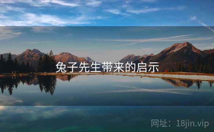 兔子先生带来的启示