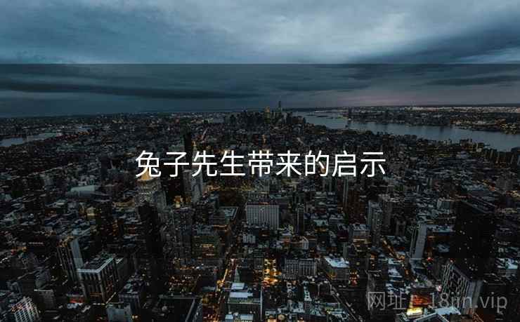 兔子先生带来的启示
