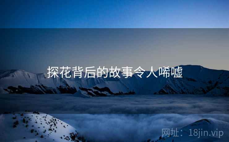探花背后的故事令人唏嘘
