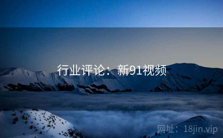 行业评论:新91视频