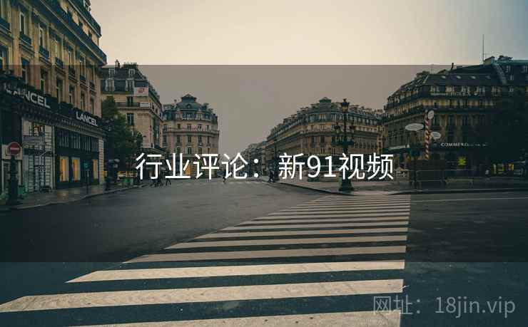 行业评论:新91视频