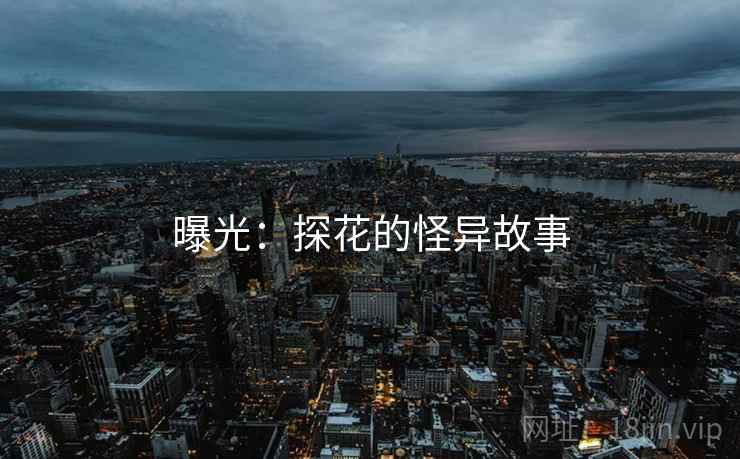 曝光:探花的怪异故事