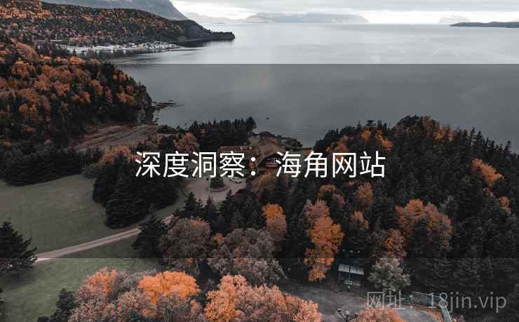 深度洞察:海角网站