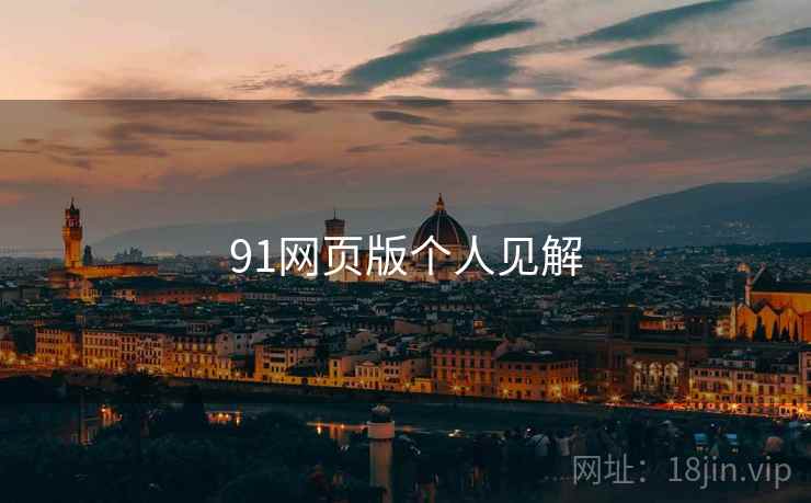 91网页版个人见解