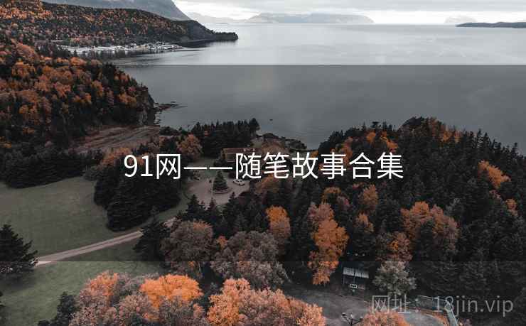 91网——随笔故事合集