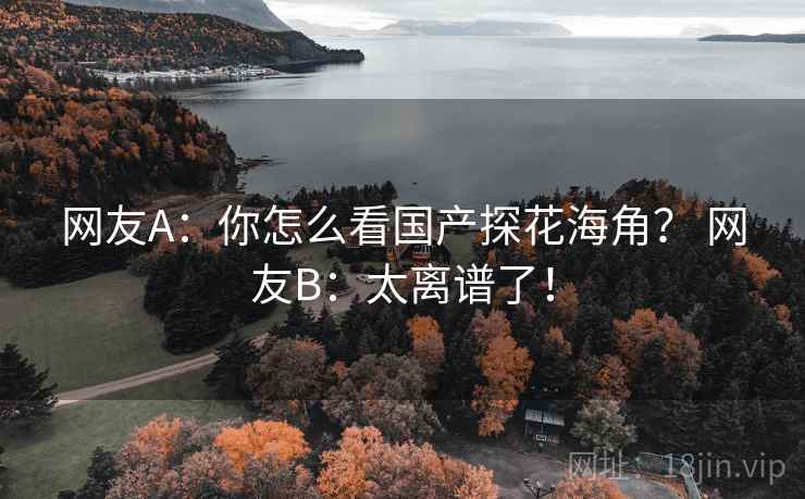 网友A：你怎么看国产探花海角？ 网友B：太离谱了！