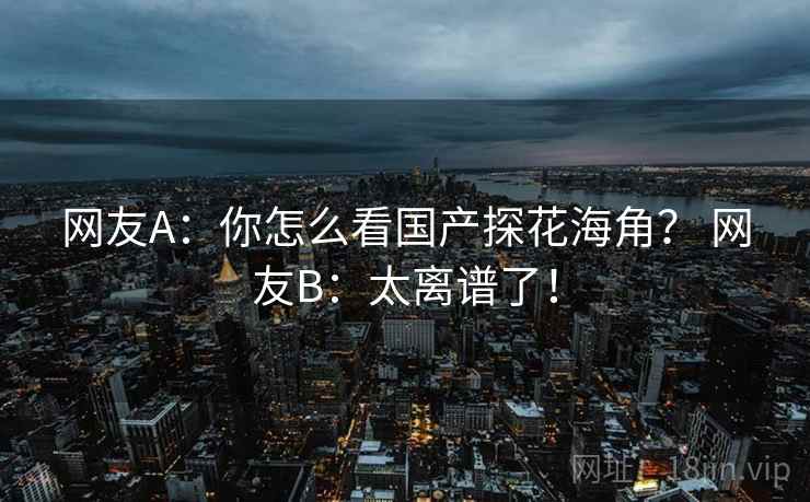 网友A：你怎么看国产探花海角？ 网友B：太离谱了！